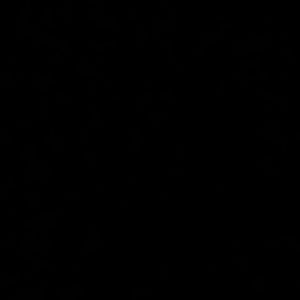 Meet your Posher, Jace